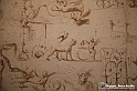 VBS_0029 - Mostra Nel segno di Raffaello